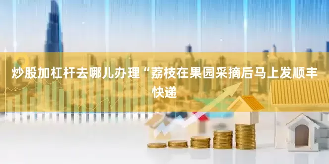 炒股加杠杆去哪儿办理“荔枝在果园采摘后马上发顺丰快递