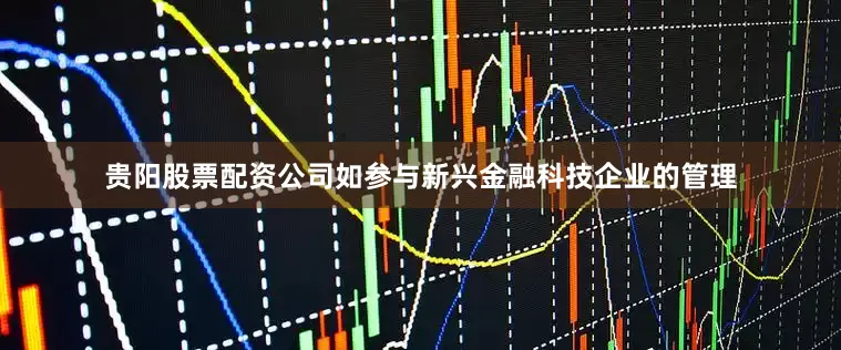 贵阳股票配资公司如参与新兴金融科技企业的管理